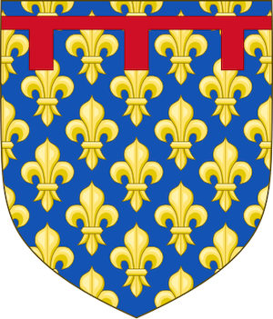 Anjouovci