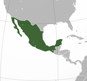Mexiko
