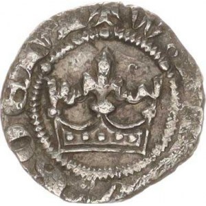 parvus